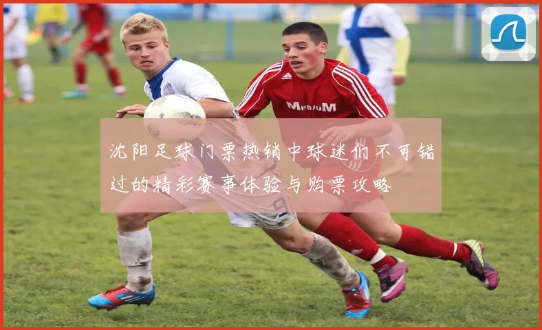 沈阳足球门票热销中球迷们不可错过的精彩赛事体验与购票攻略