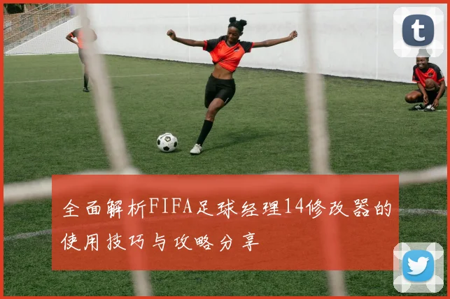 全面解析FIFA足球经理14修改器的使用技巧与攻略分享