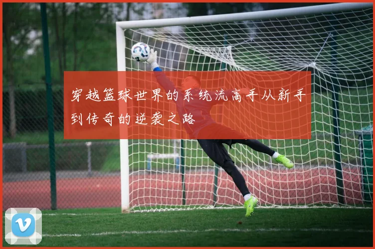 穿越篮球世界的系统流高手从新手到传奇的逆袭之路